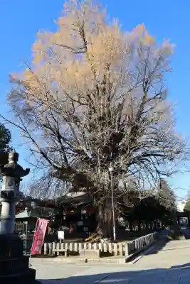 鑁阿寺(栃木県)