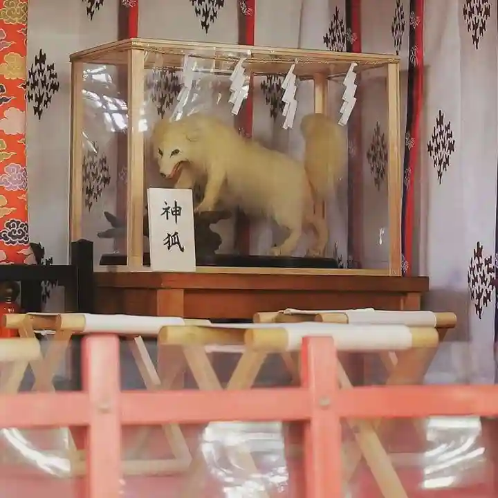 開運招福 飯玉神社の狛犬