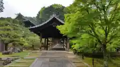 東福禅寺（東福寺）の建物その他