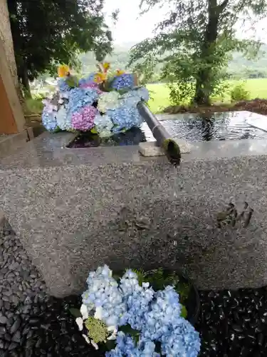 高司神社〜むすびの神の鎮まる社〜の手水