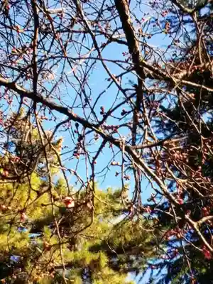 田端神社(東京都)