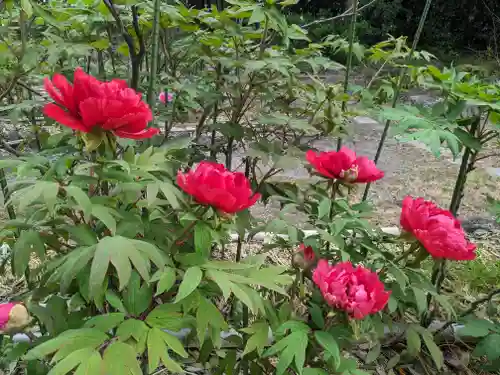 総持寺(滋賀県)
