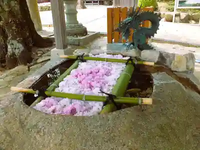 立志神社の手水舎