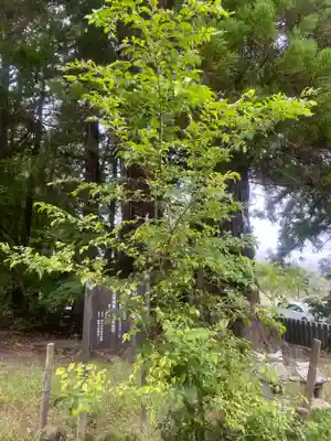 相馬中村神社(福島県)
