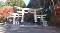 三峯神社の鳥居