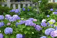 白山神社(東京都)