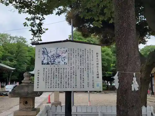 新曽氷川神社の歴史