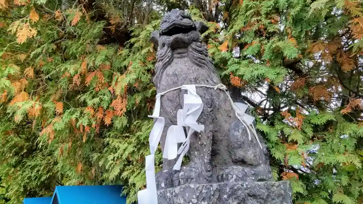 出雲神社の狛犬