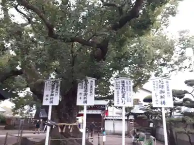 大聖観音寺（あびこ観音）(大阪府)