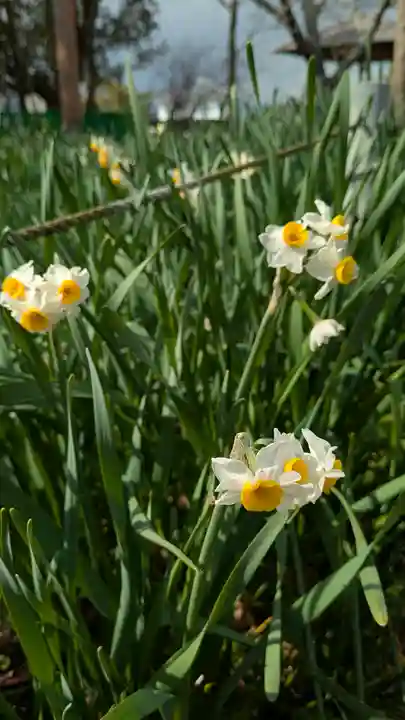 惠心院(恵心院)(京都府)