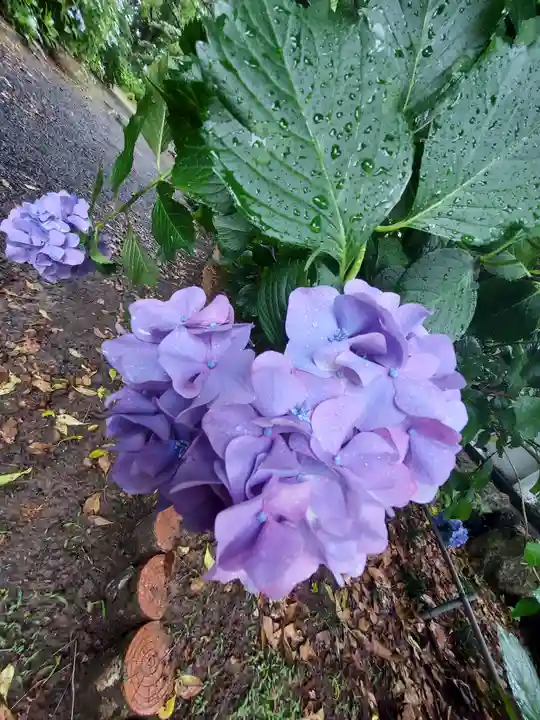 御裳神社(愛知県)