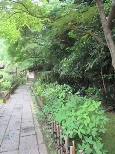 安國論寺（安国論寺）の景色