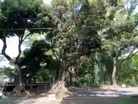 上宮天満宮のその他建物