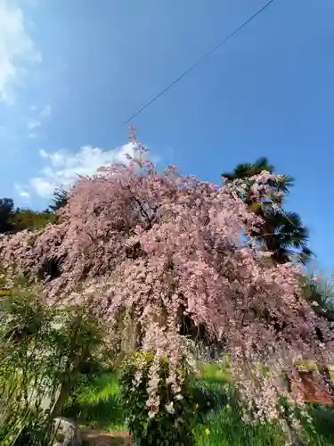 大隣寺(福島県)