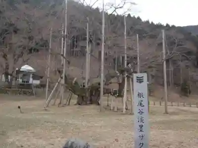 淡墨観音(岐阜県)