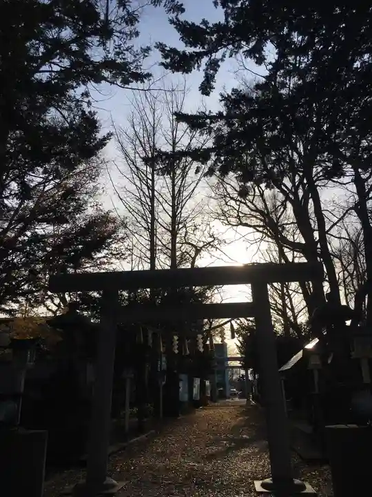 新琴似神社の鳥居