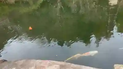 貫井神社(東京都)