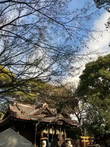 代々木八幡宮(東京都)