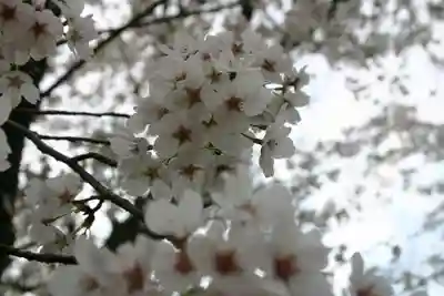 石田神社の自然