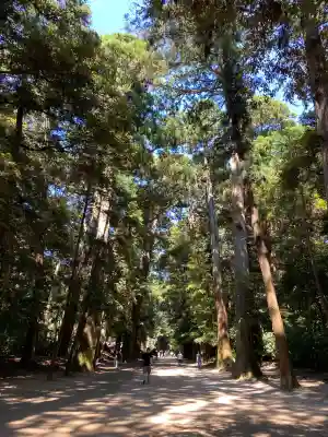 鹿島神宮(茨城県)