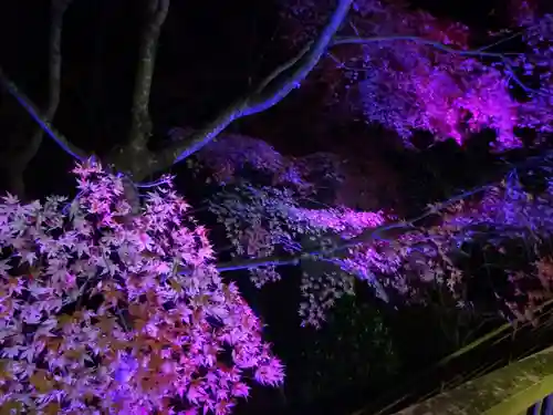 大山阿夫利神社の景色