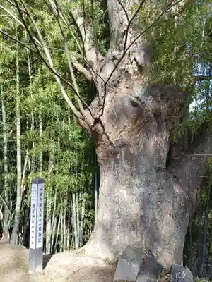 愛宕神社(福島県)