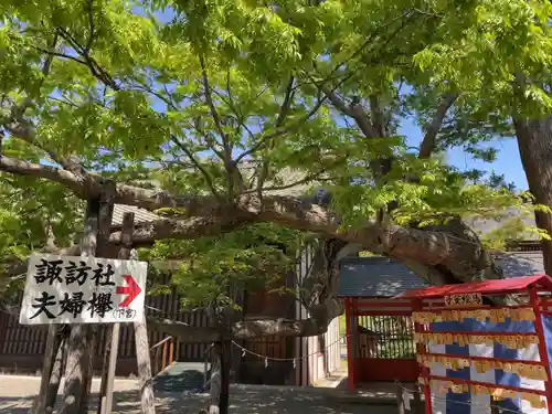 生島足島神社の自然