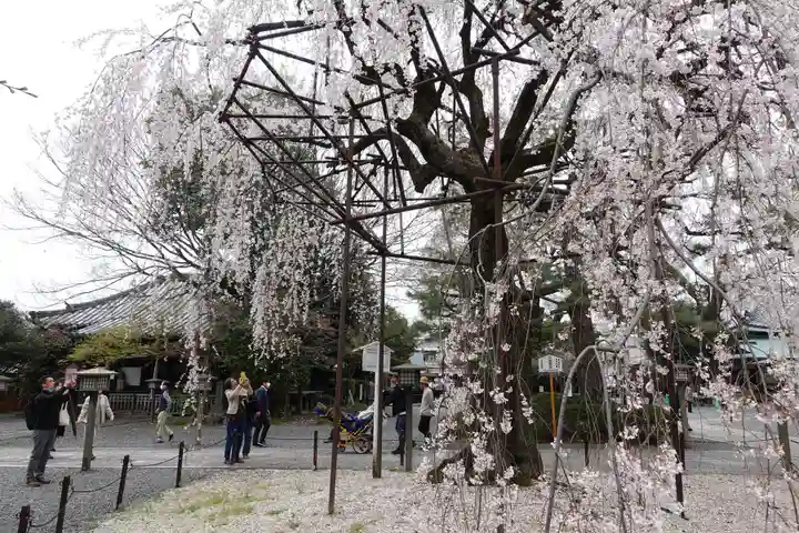 大報恩寺(千本釈迦堂)(京都府)