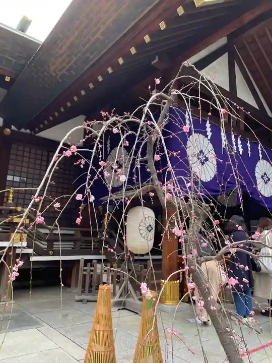 東京大神宮(東京都)