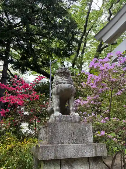 二本松神社の{uncategorized: "未分類", other: "その他", undefined: "問題あり", building: "その他建物", grave: "お墓", sacred_gate: "鳥居", guardian: "狛犬", statue: "像", buddha: "仏像", history: "歴史", nature: "自然", garden: "庭園", animal: "動物", pagoda: "塔", temizu: "手水舎", mountain_gate: "山門・神門", sanctuary: "本殿・本堂", subordinate: "末社・摂社", art: "芸術", scenery: "景色", jizo: "地蔵", ema: "絵馬", goshuin: "御朱印", omikuji: "おみくじ", items: "授与品その他", amulet: "お守り", goshuincho: "御朱印帳", eats: "食事", festival: "お祭り", votive_dance: "神楽", shichigosan: "七五三参", wedding: "結婚式", experience: "体験その他", initially: "初詣", around: "周辺", anti_infection: "感染症対策"}
