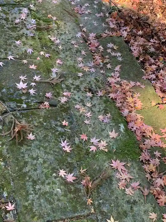 社八幡神社(福島県)