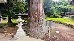 大内神社(京都府)