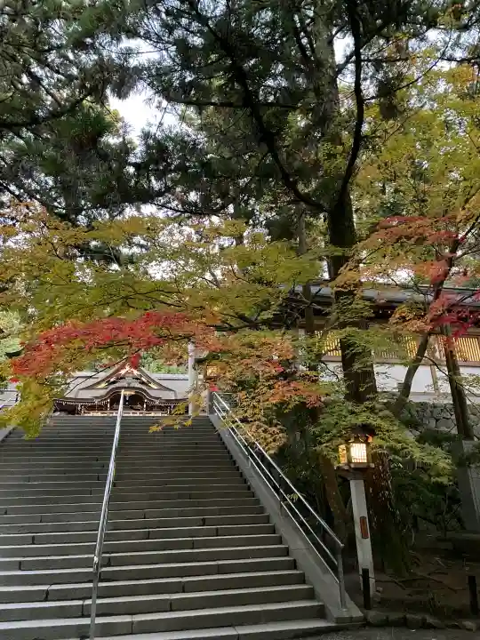 大神神社の{uncategorized: "未分類", other: "その他", undefined: "問題あり", building: "その他建物", grave: "お墓", sacred_gate: "鳥居", guardian: "狛犬", statue: "像", buddha: "仏像", history: "歴史", nature: "自然", garden: "庭園", animal: "動物", pagoda: "塔", temizu: "手水舎", mountain_gate: "山門・神門", sanctuary: "本殿・本堂", subordinate: "末社・摂社", art: "芸術", scenery: "景色", jizo: "地蔵", ema: "絵馬", goshuin: "御朱印", omikuji: "おみくじ", items: "授与品その他", amulet: "お守り", goshuincho: "御朱印帳", eats: "食事", festival: "お祭り", votive_dance: "神楽", shichigosan: "七五三参", wedding: "結婚式", experience: "体験その他", initially: "初詣", around: "周辺", anti_infection: "感染症対策"}
