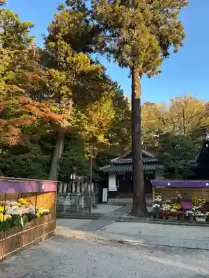 日牟禮八幡宮(滋賀県)