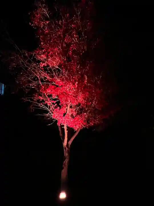 伏見稲荷大社(京都府)