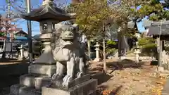 日吉神社の狛犬