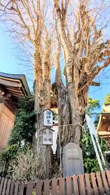 登渡神社(千葉県)