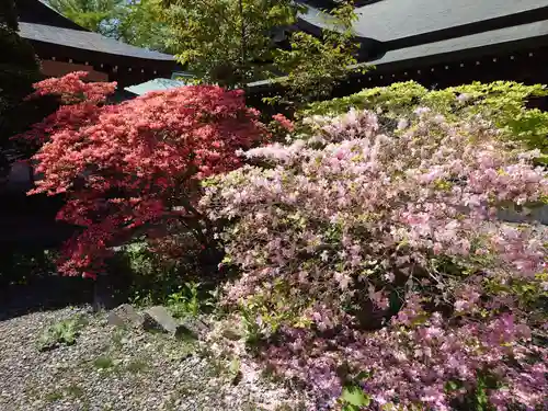 室蘭八幡宮(北海道)