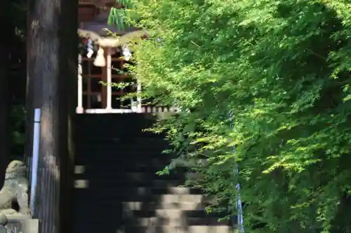 豊景神社の景色