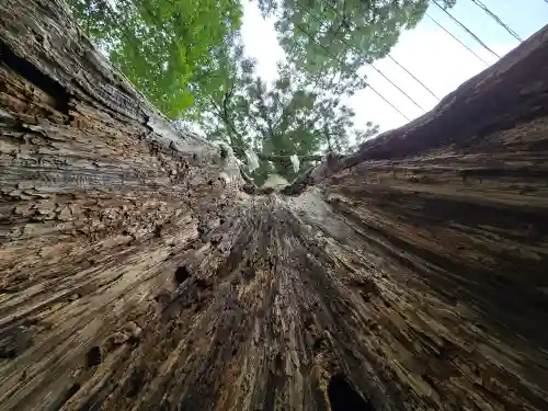 丹生神社（丹生川上神社中社摂社)(奈良県)