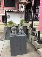 今戸神社の狛犬