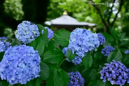妙楽寺(神奈川県)