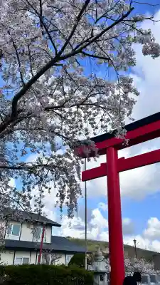 北海道東照宮(北海道)