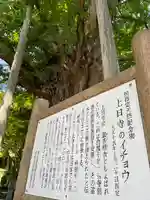 上日寺(富山県)