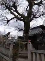 榎木神社(富山県)