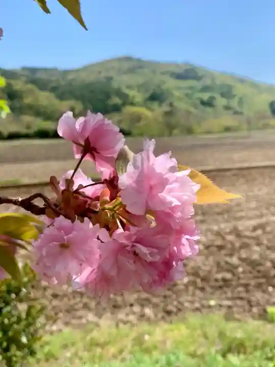 高司神社〜むすびの神の鎮まる社〜(福島県)