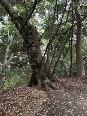 愛宕神社(千葉県)