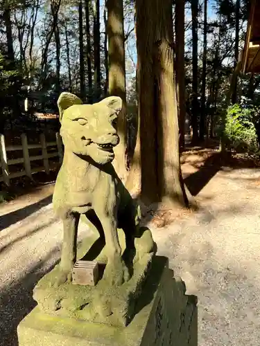 宝登山神社奥宮の狛犬