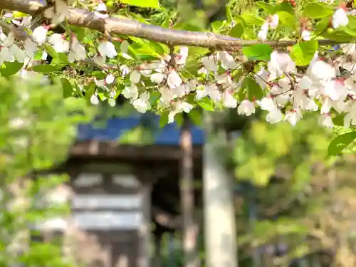 皆神神社の自然