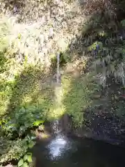 銭洗弁財天宇賀福神社の自然